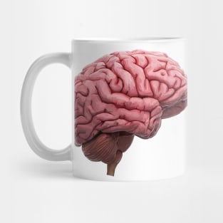 Scientific Human Brain Study Mug